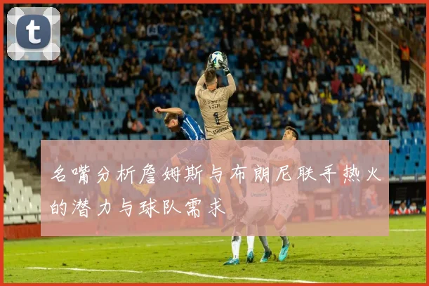 名嘴分析詹姆斯与布朗尼联手热火的潜力与球队需求