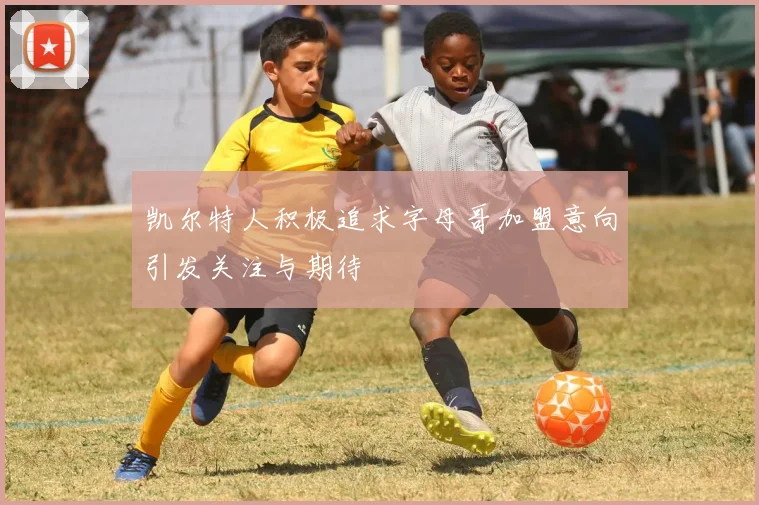 凯尔特人积极追求字母哥加盟意向引发关注与期待